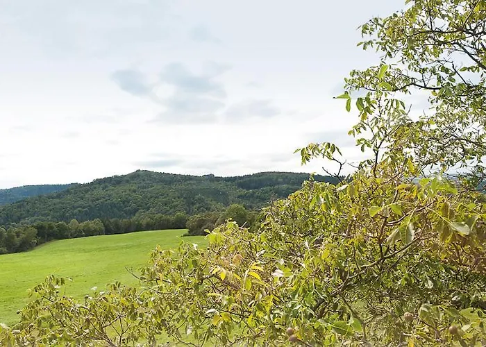 Bergoase Panorama-apartments شقة فندقية 4*